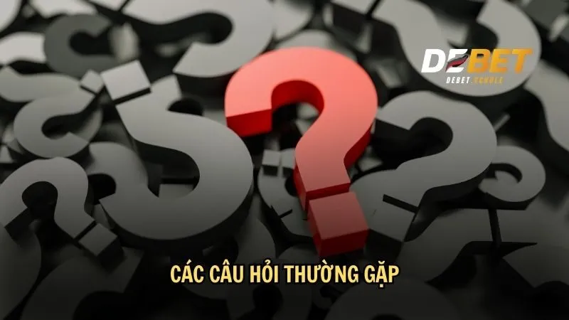 Các câu hỏi thường gặp về chương trình