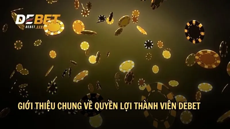 Giới thiệu chung về quyền lợi thành viên DEBET