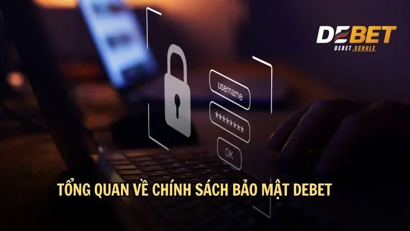 Tổng quan trong chính sách bảo mật DEBET